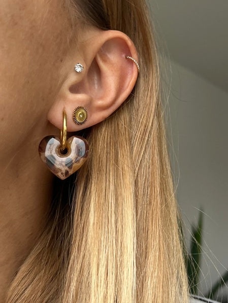 Pampilles Love tortoise