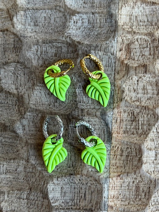 Pampilles feuilles tropicales