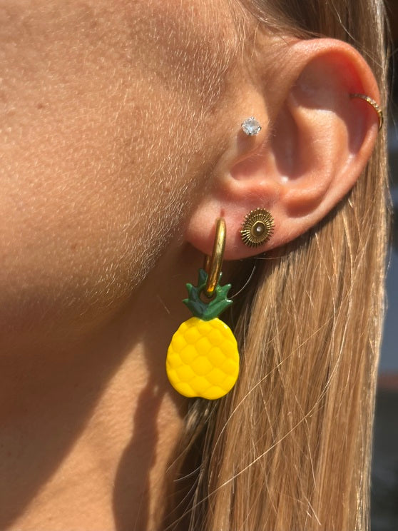 Pampilles ananas