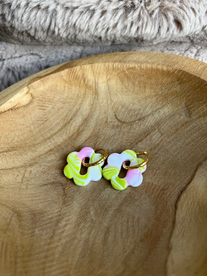 Pampilles Thelma